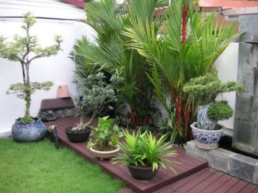 Small terrace garden design