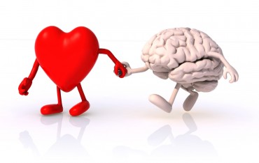brain-and-heart