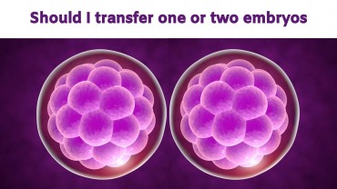 Should I transfer one or two embryos