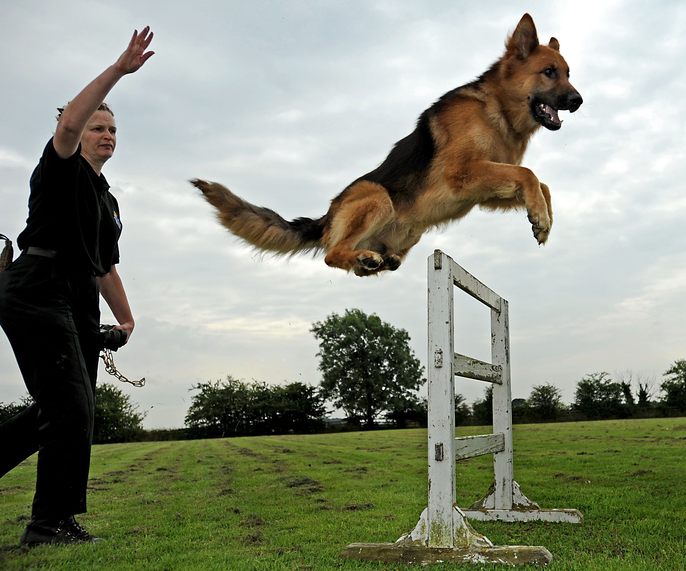 famous femal british dog trainer