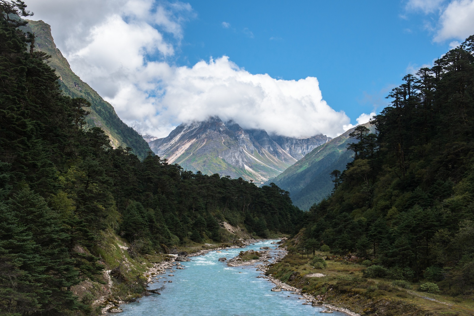 yumthank-valley-sikkim