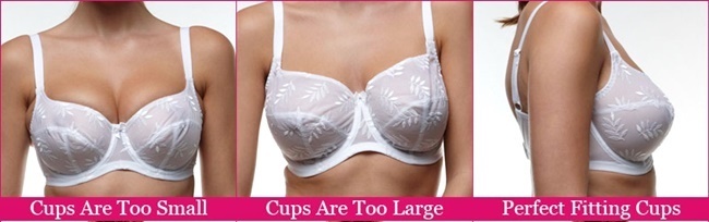 cups size