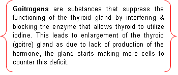 thyroid 2